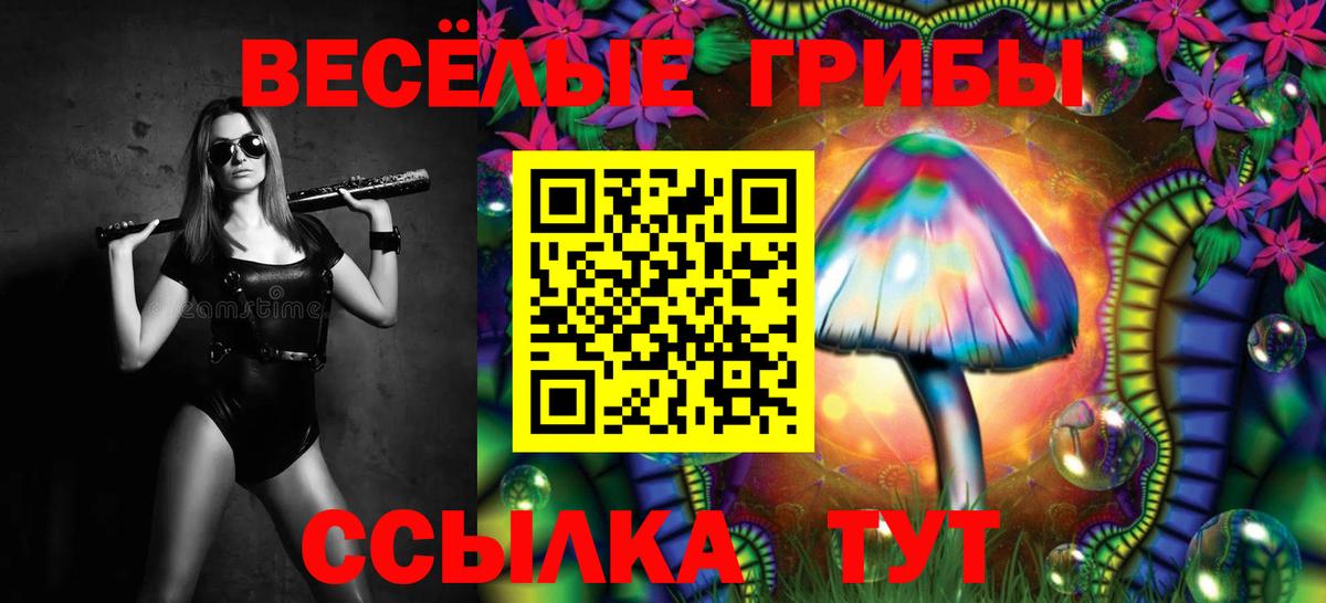 купить   Вход с VPN  Заволжье  Галлюциногенные грибы прущие грибы 